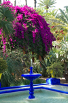 Jardin Majorelle