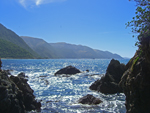 The coast near Kaikoura