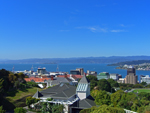 Wellington harbour