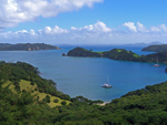View from the top of a hill in the Bay of Islands