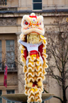 Lion dance