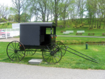 Amish buggy